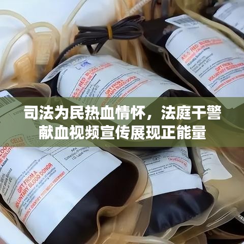 司法為民熱血情懷，法庭干警獻(xiàn)血視頻宣傳展現(xiàn)正能量