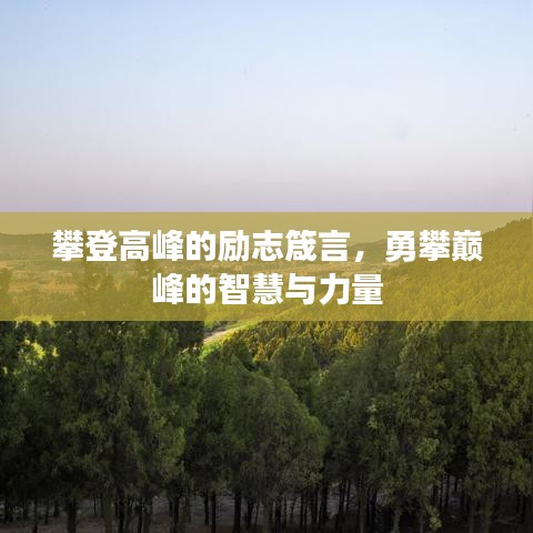 攀登高峰的勵志箴言，勇攀巔峰的智慧與力量