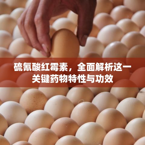 革新變舊 第2頁(yè)