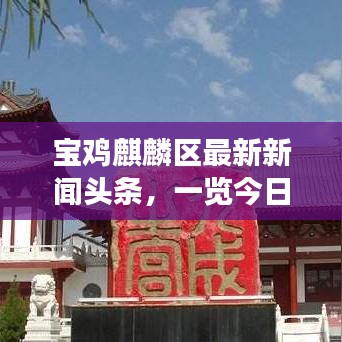寶雞麒麟?yún)^(qū)最新新聞?lì)^條，一覽今日熱點(diǎn)事件