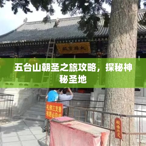五臺(tái)山朝圣之旅攻略，探秘神秘圣地