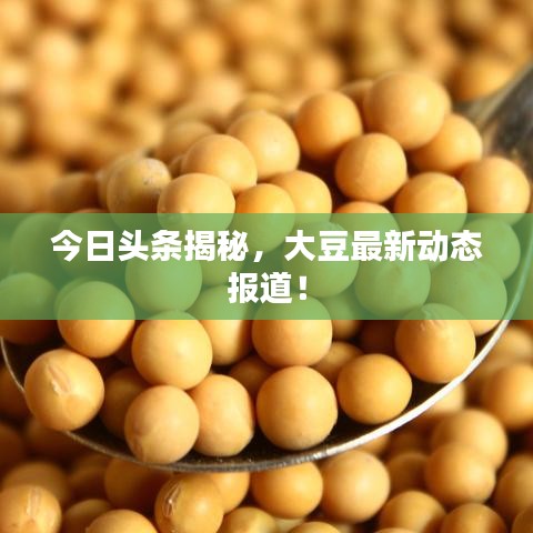 今日頭條揭秘，大豆最新動態(tài)報道！