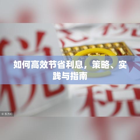 如何高效節(jié)省利息，策略、實(shí)踐與指南