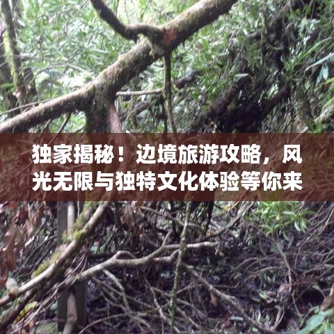 獨家揭秘！邊境旅游攻略，風光無限與獨特文化體驗等你來探秘！