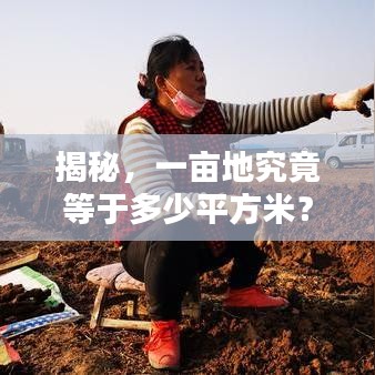 揭秘，一畝地究竟等于多少平方米？土地面積轉(zhuǎn)換全解析！