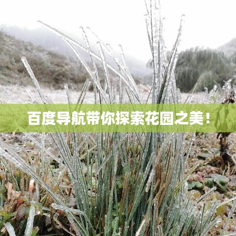 百度導航帶你探索花園之美！