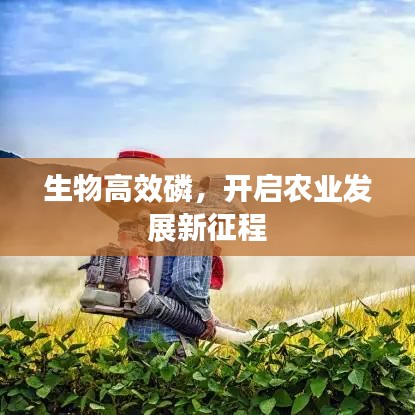 生物高效磷，開(kāi)啟農(nóng)業(yè)發(fā)展新征程