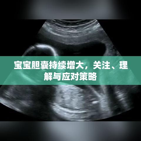 寶寶膽囊持續(xù)增大，關(guān)注、理解與應(yīng)對(duì)策略