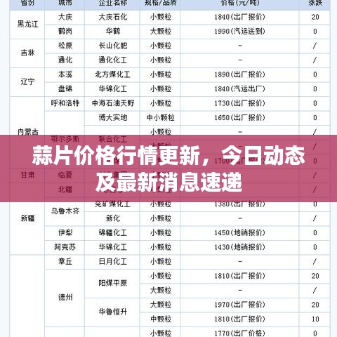 蒜片價(jià)格行情更新，今日動態(tài)及最新消息速遞