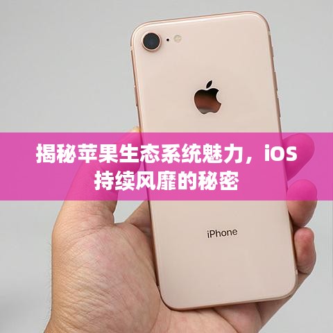 揭秘蘋果生態(tài)系統(tǒng)魅力，iOS持續(xù)風(fēng)靡的秘密