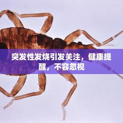 突發(fā)性發(fā)燒引發(fā)關(guān)注，健康提醒，不容忽視