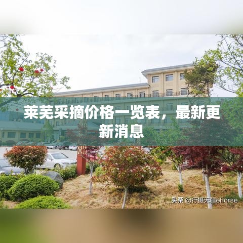 萊蕪采摘價(jià)格一覽表，最新更新消息