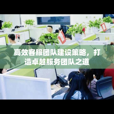高效客服團隊建設(shè)策略，打造卓越服務(wù)團隊之道