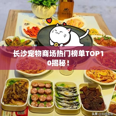 長(zhǎng)沙寵物商場(chǎng)熱門榜單TOP10揭秘！