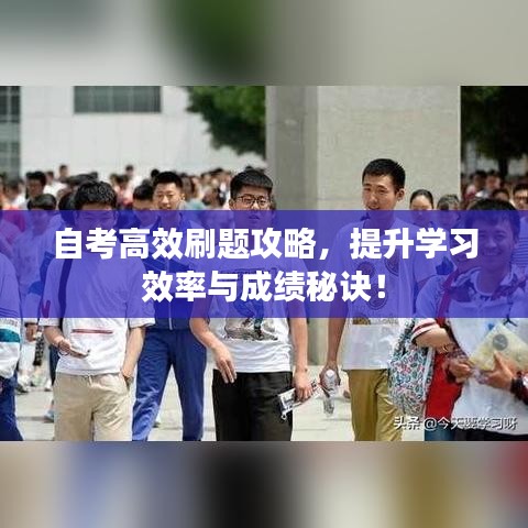 自考高效刷題攻略，提升學習效率與成績秘訣！