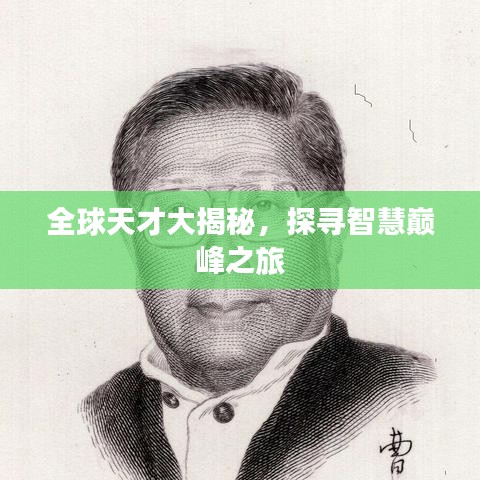 全球天才大揭秘，探尋智慧巔峰之旅