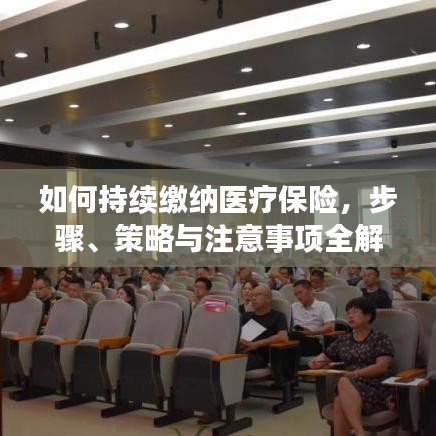 如何持續(xù)繳納醫(yī)療保險，步驟、策略與注意事項全解析