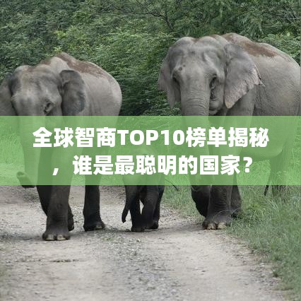 全球智商TOP10榜單揭秘，誰是最聰明的國(guó)家？