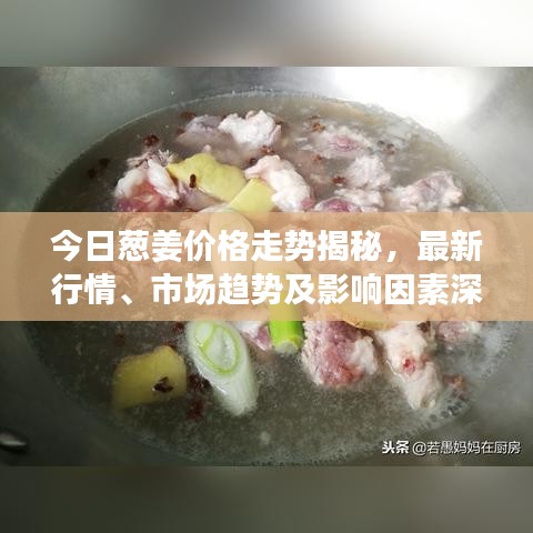 今日蔥姜價格走勢揭秘，最新行情、市場趨勢及影響因素深度解析