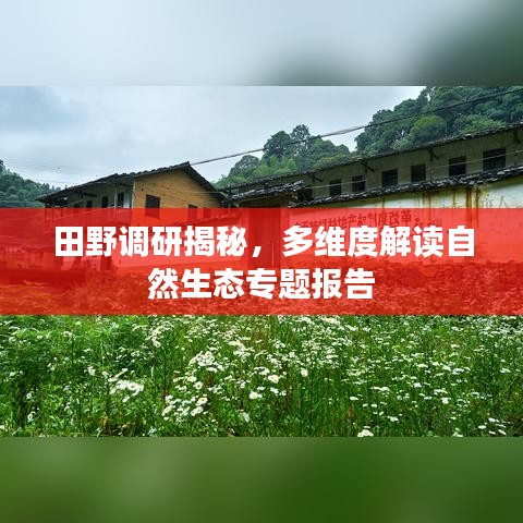 田野調(diào)研揭秘，多維度解讀自然生態(tài)專題報(bào)告