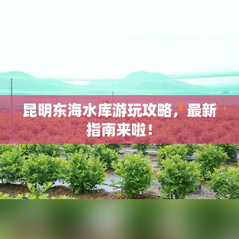 昆明東海水庫(kù)游玩攻略，最新指南來(lái)啦！